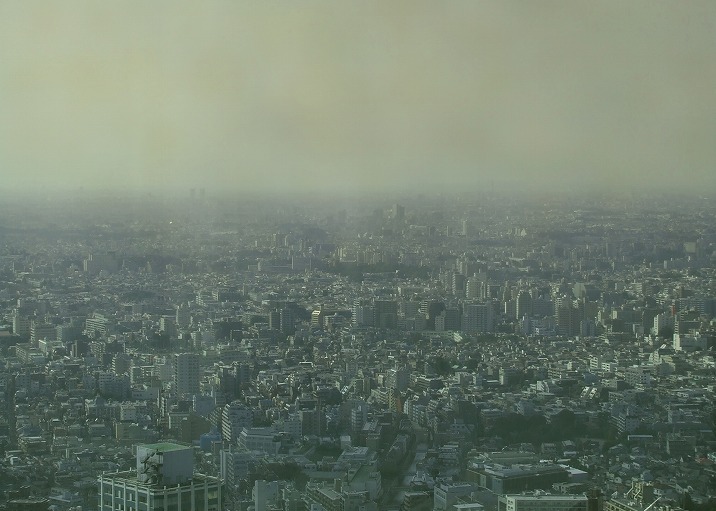環境の悪化